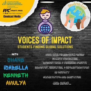 Voices of Impact cover art